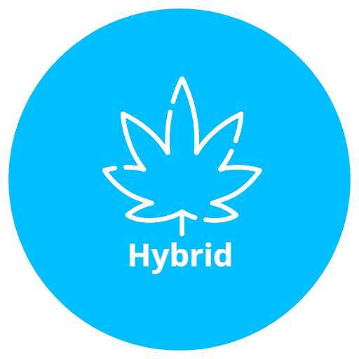 hybrid