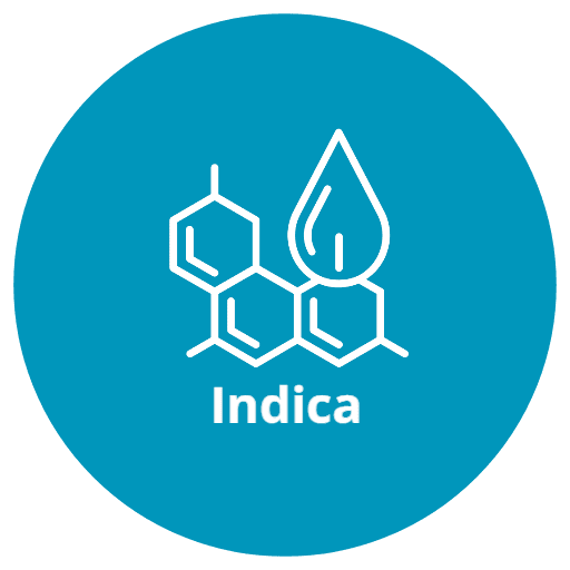 indica