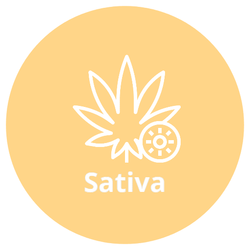 sativa