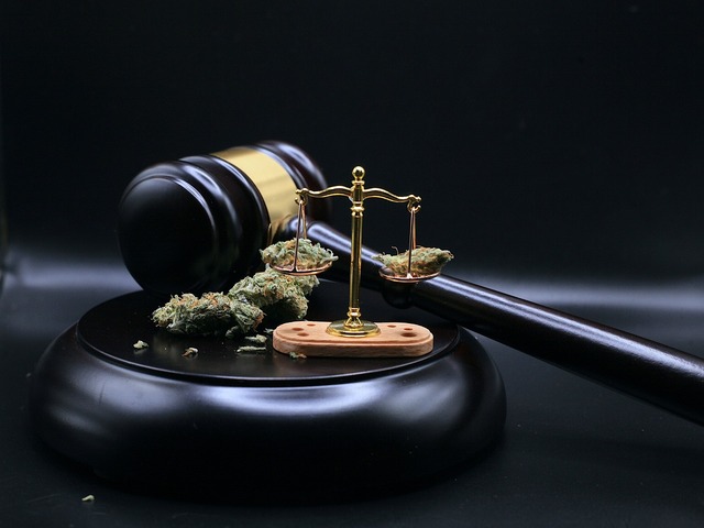 scale gavel and cbd heads