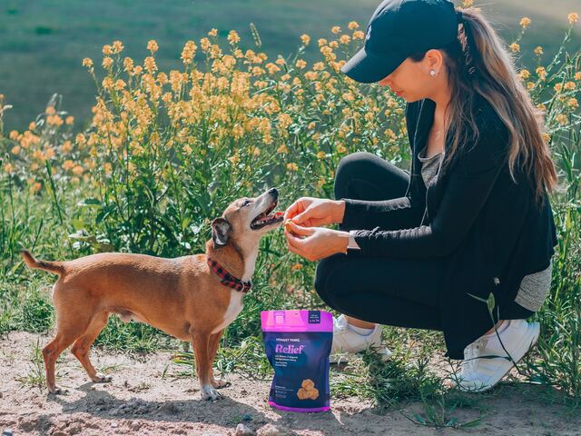 girl gives her dog cbd treats