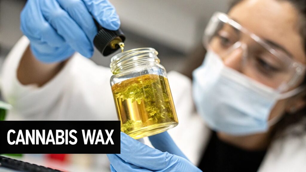 Your Introduction to the World of Cannabis Concentrates