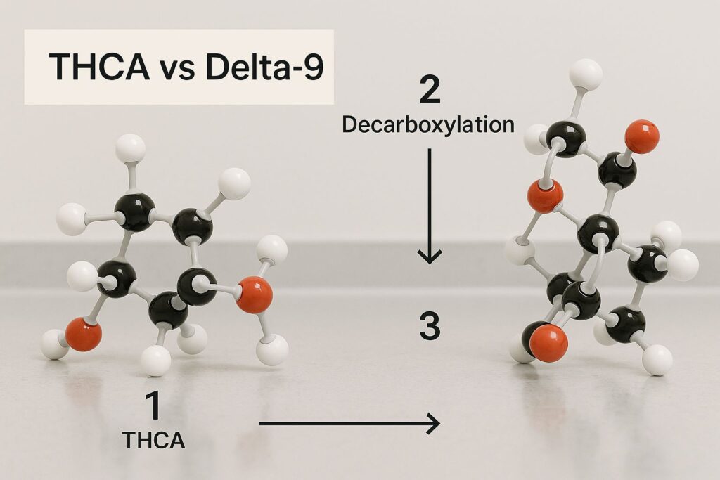 The Magic of Decarboxylation
