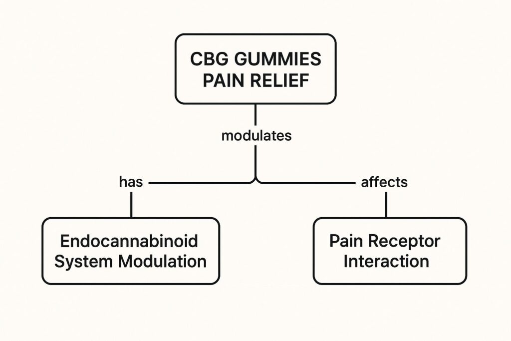 A More Direct Approach to Receptors
